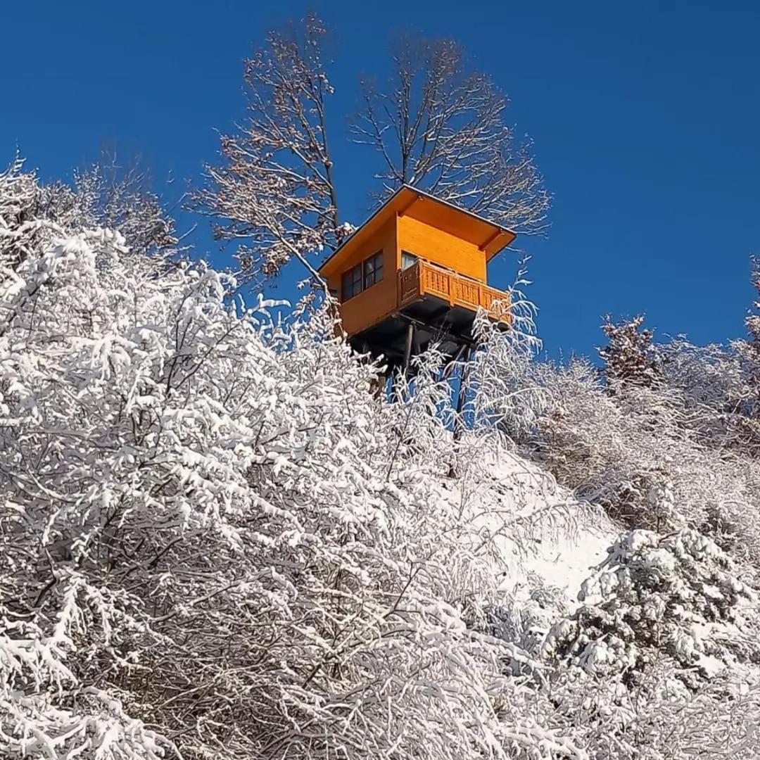 Apartmán Mosia Dar In Rai Berbesti Exteriér fotografie